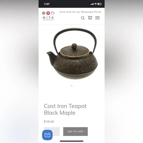 Japanese Tetsubin Cast Iron Teapot 20oz - Picture 12 of 12